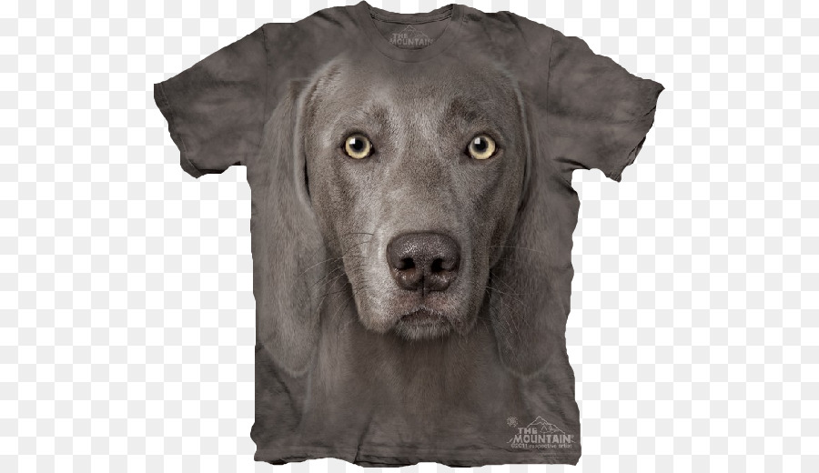 ทพ，Weimaraner PNG