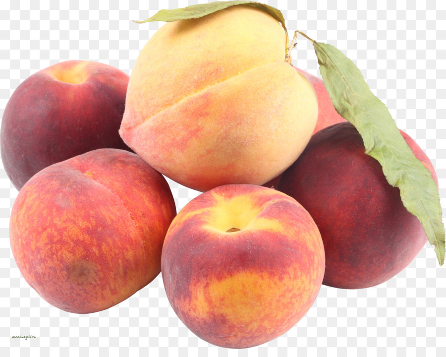 เนคทา，Apricot PNG