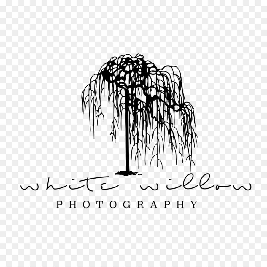 โลโก้ White Willow，วิลโลว์สีขาว PNG