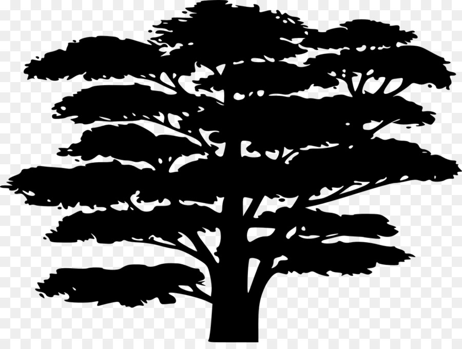 เงา，ต้นไม้ PNG