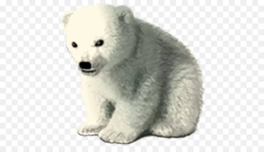 หมีขั้ว，หมี PNG