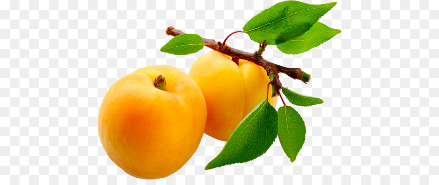 น้ำผลไม้，Apricot PNG