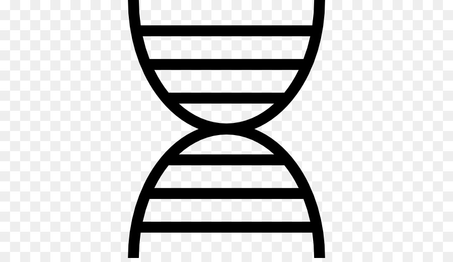 Nucleic กรดดับเบิ้ลเฮลิกซ์ Name，ดีเอ็นเอ PNG