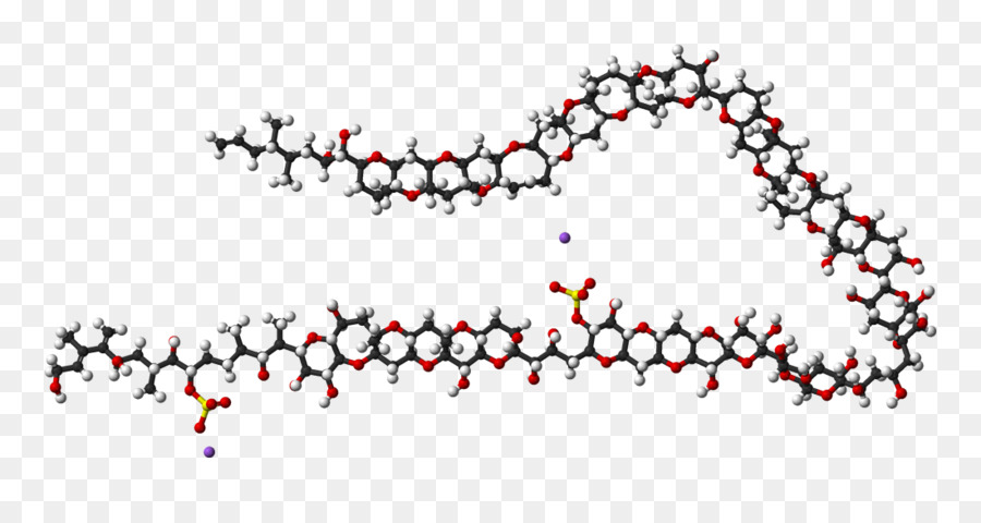 Maitotoxin，Spacefilling นางแบบ PNG