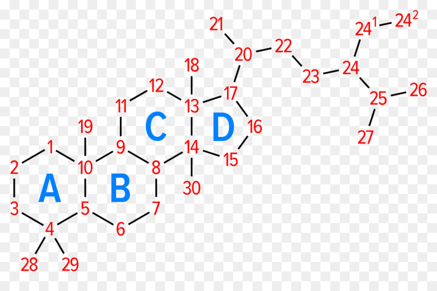 ว่าซุปเปอร์สเตรียลอย์ด，Phytosterol PNG