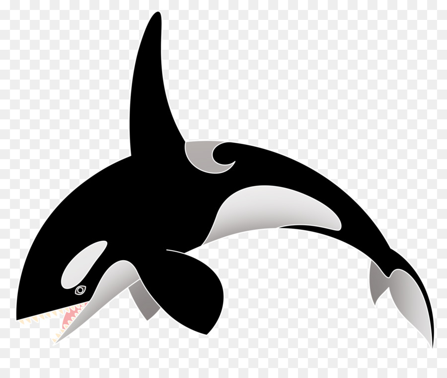 Orca，นักดำน้ำ PNG