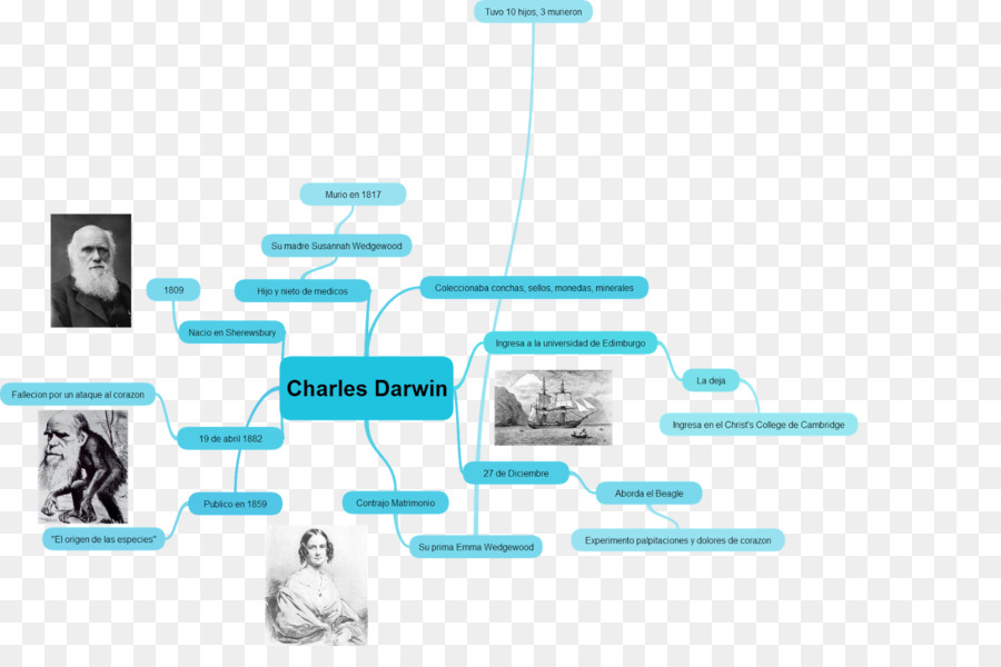 แผนที่ Charles Darwin Mind，แผนที่ใจ PNG