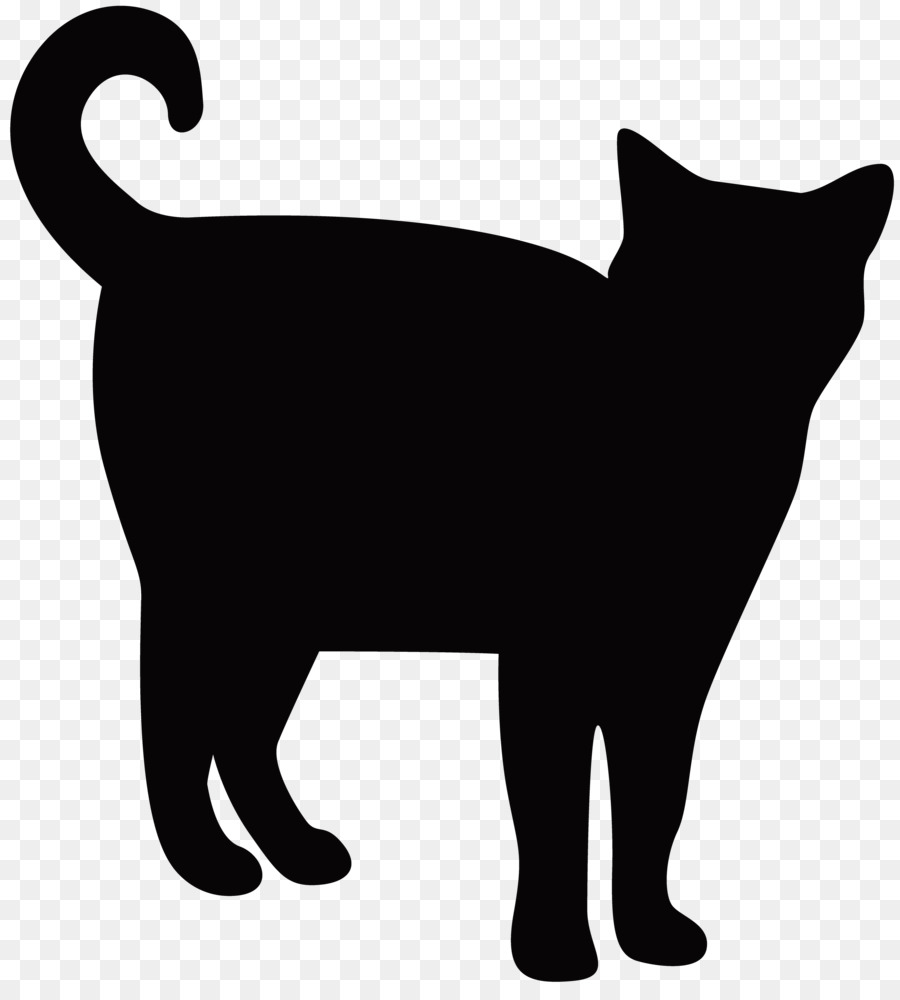 ภาษาแมงซ์ Name แมว，ในประเทศ Shorthaired แมว PNG