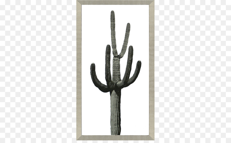 Cactaceae，Saguaro PNG