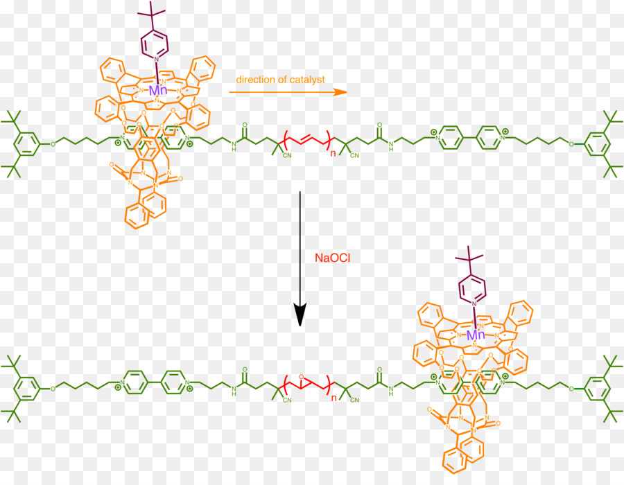 Supramolecular การเร่งปฏิกิริยา，ปฏิกิริยา PNG