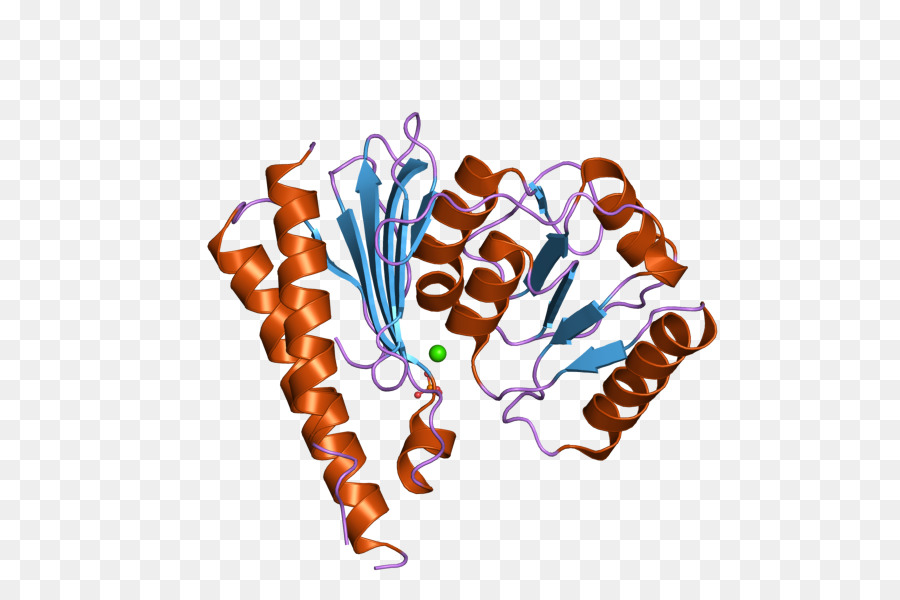 ทอ Monophosphatase 2，ทอ Monophosphatase PNG