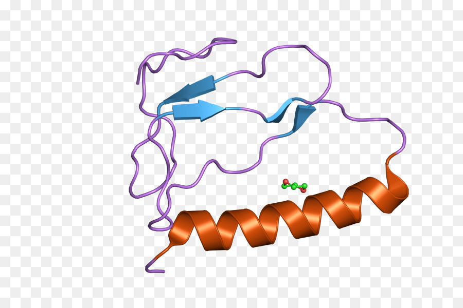Igfbp1，Insulinlike การการเจริญเติบโตของ Factorbinding โปรตีน PNG