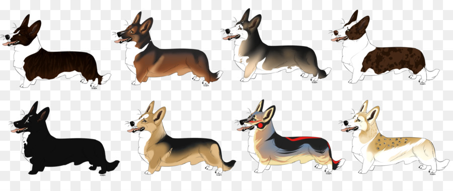 สุนัขพันธุ์，เพมโบรคภาษาเวลช์ Name Corgi PNG