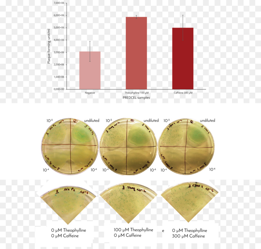 ช่วยเหลือที่สถานี，Cytochrome PNG