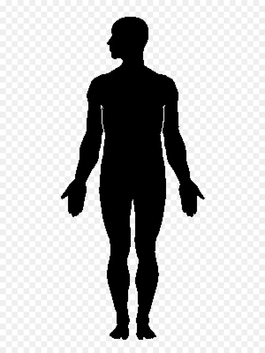 พของร่างกายมนุษย์，เงา PNG