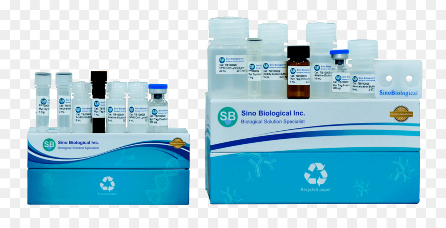 Immunoprecipitation，สีเขียวหลอดฟลูออเรสเซนต์โปรตีน PNG