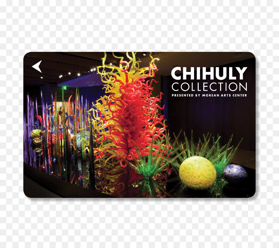 Morean ศิลปะศูนย์กลาง，Chihuly งคลังสื่อ PNG