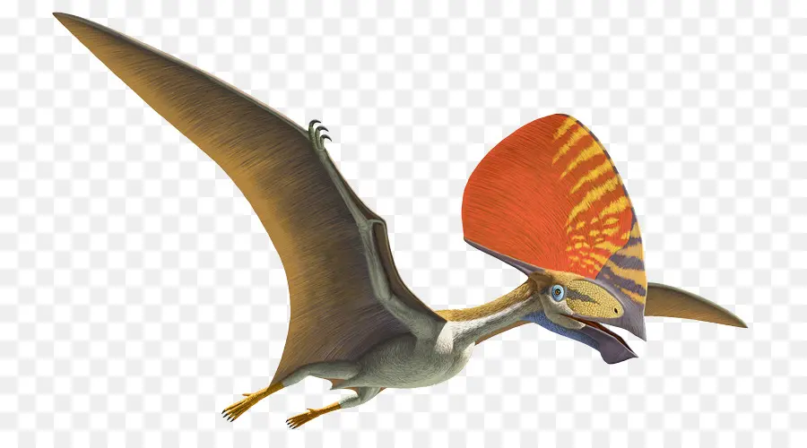 Pterosaur，การบิน PNG