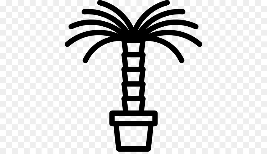 Nurseries ของมือทั้งสอง Urbapalms，Washingtonia ตามปกติ PNG