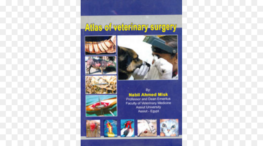 การผ่าตัด，Veterinary การผ่าตัด PNG