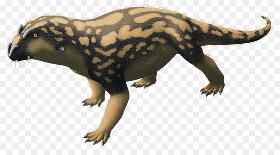 Mustelids，Tetraceratops PNG