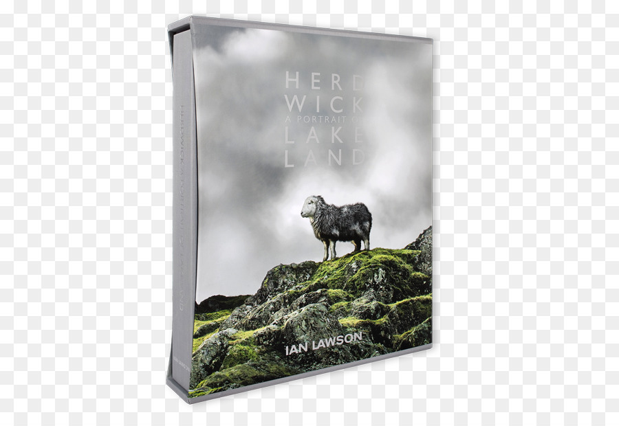 Herdwick，หนังสือ PNG