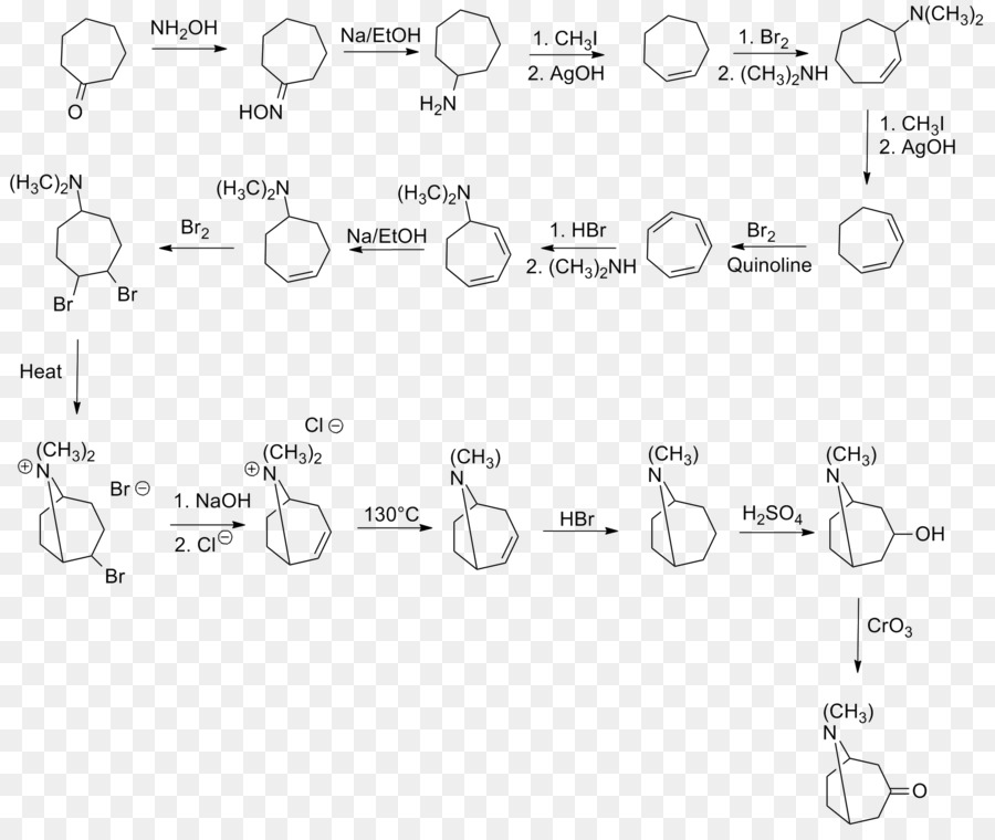 Tropinone，สารเคมี Synthesis PNG