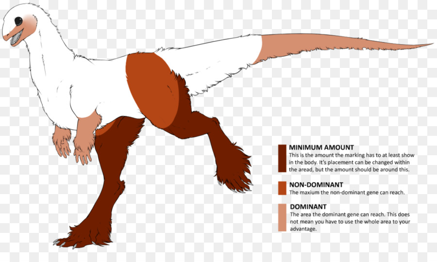Okapi，ไดโนเสาร์เต่าล้านปี PNG