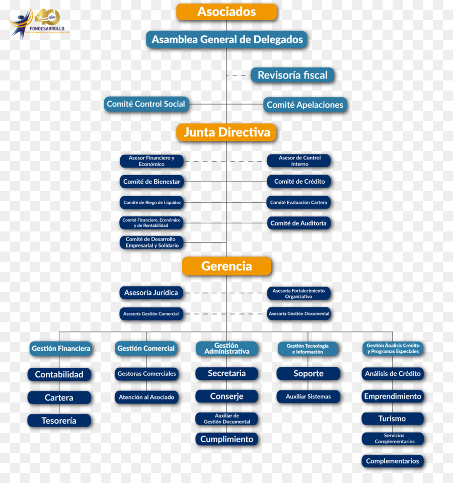 Organizational ชาร์ท，องค์กร PNG