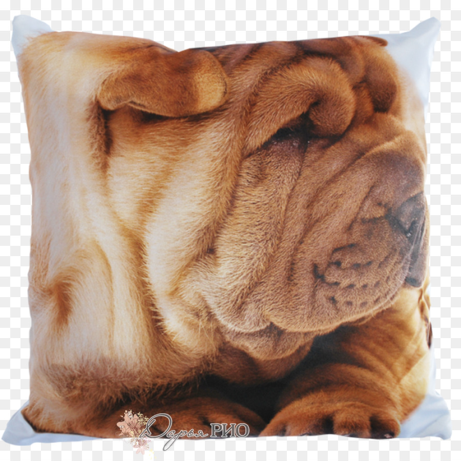 Shar，Oripei PNG