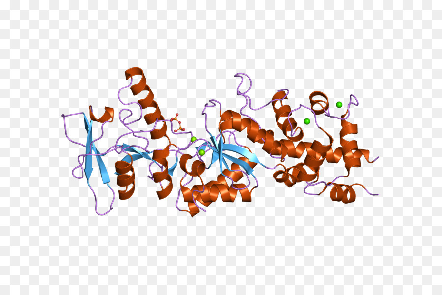 โครงสร้างโปรตีน，โมเลกุล PNG