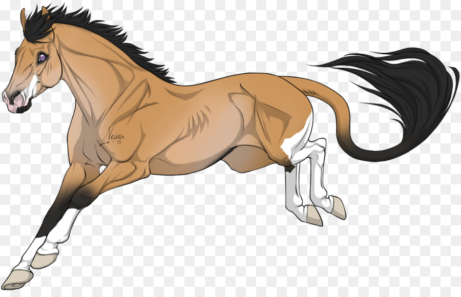 Foal，แผง PNG