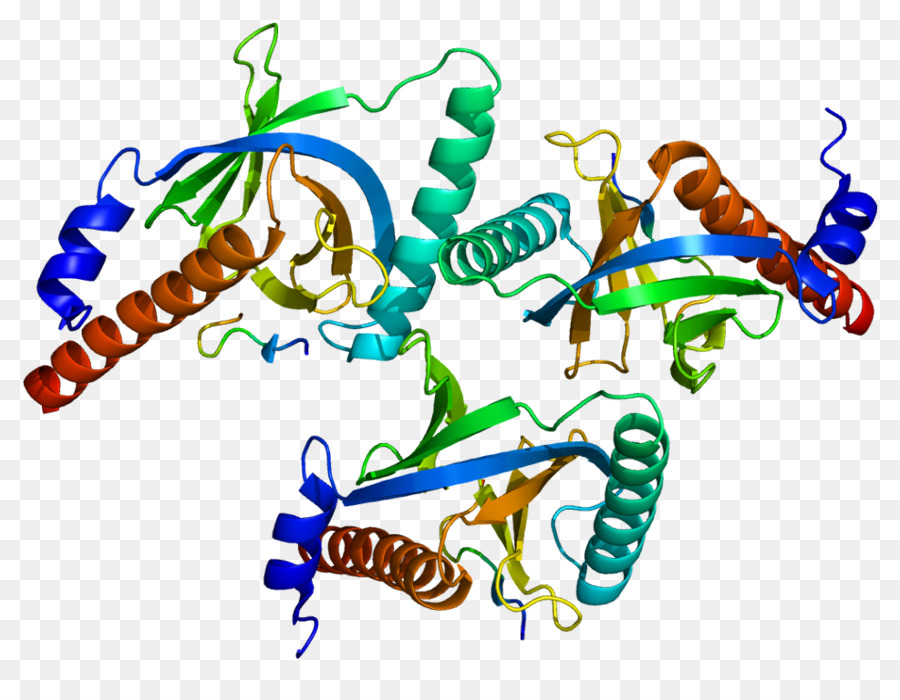 โครงสร้างโปรตีน，โมเลกุล PNG