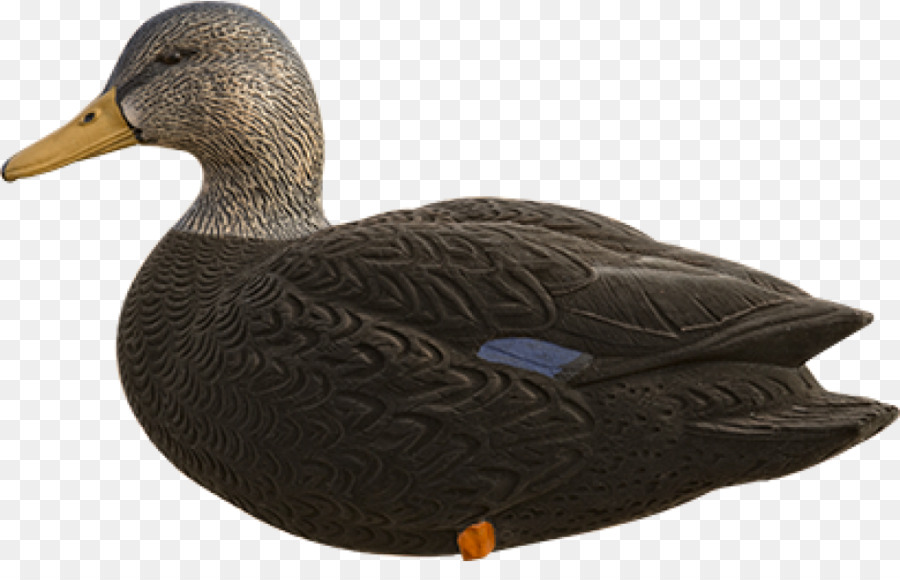 Duck Decoy，การล่าสัตว์ PNG