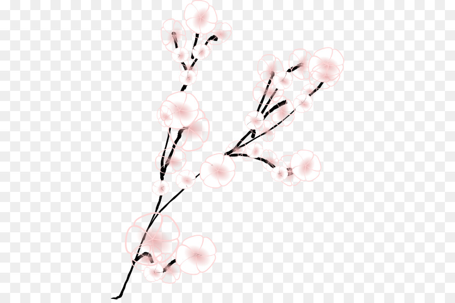 ดอก，เชอร์รี่ Blossom PNG
