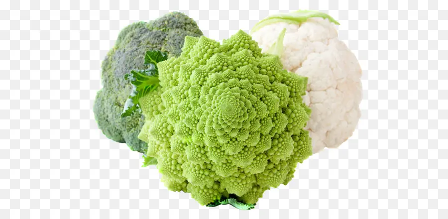 Romanesco Broccoli，กะหล่ำดอก PNG