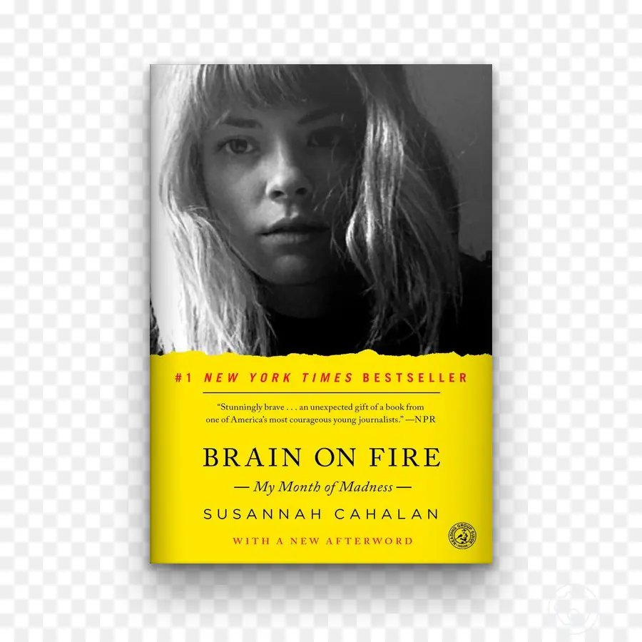 Brain On Fire Book，บันทึกประจำวัน PNG