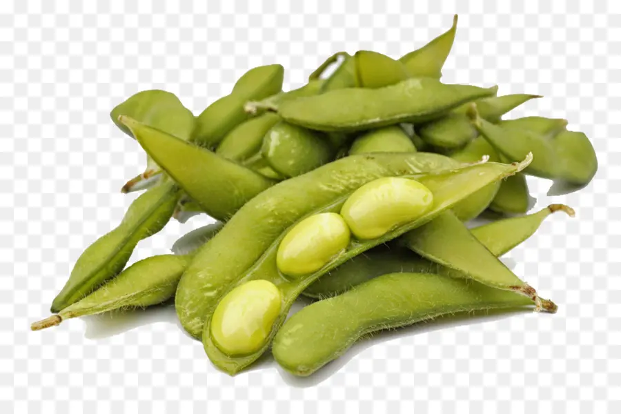 Edamame，ถั่วเหลือง PNG