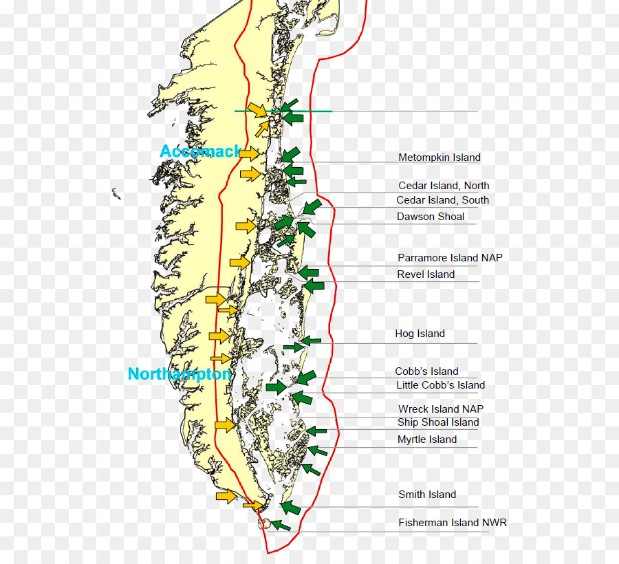 เวอร์จิเนียจากหมู่เกาะ，ชายฝั่ง PNG