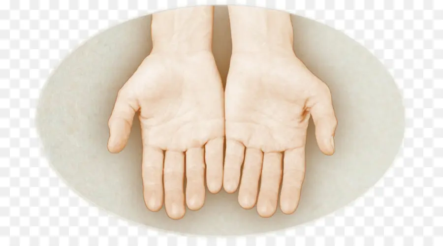 นิ้วโป้งไง，มือของนางแบบ PNG