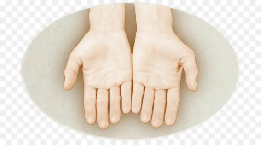 มือ，ปาล์ม PNG