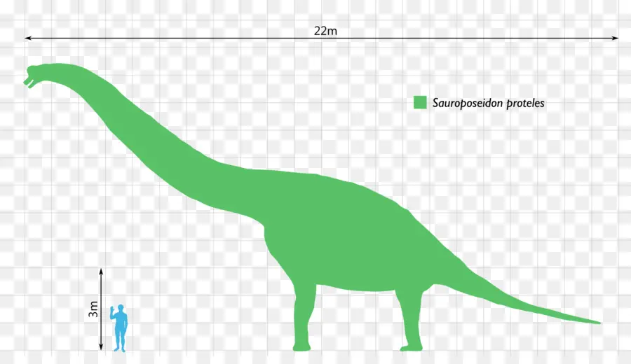 Sauroposeidon Proteles，ขนาด PNG