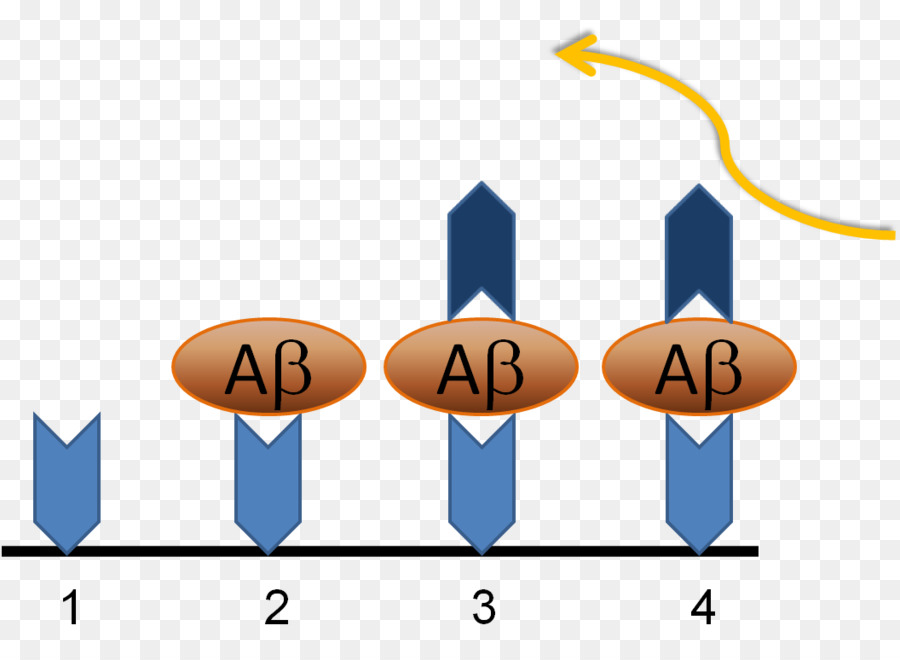 Elisa，Amyloid เบต้า PNG