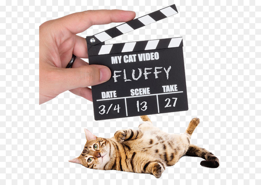 แมว，Clapperboard PNG