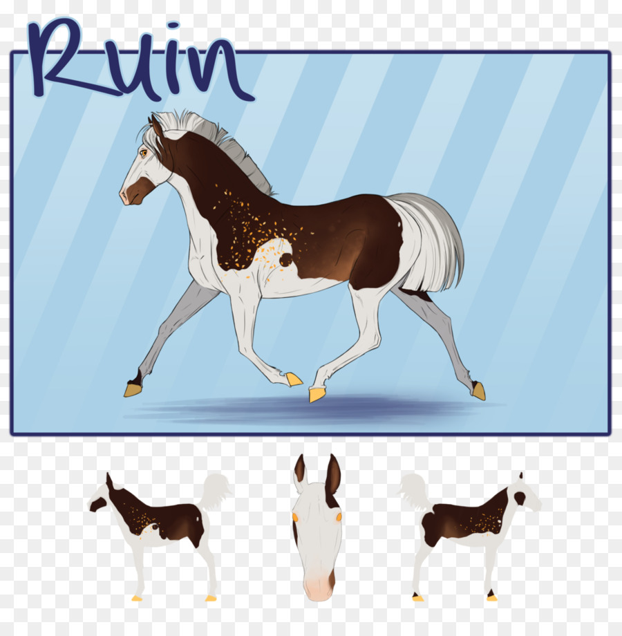 รถมัสแตง，Foal PNG