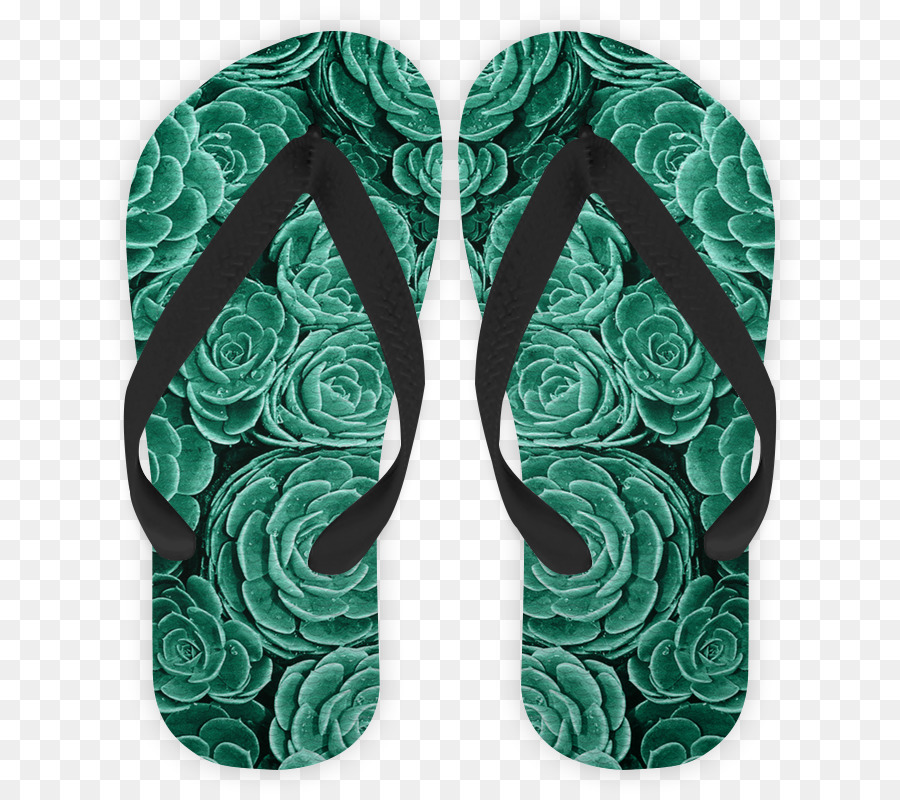 ทพ，Flipflops PNG