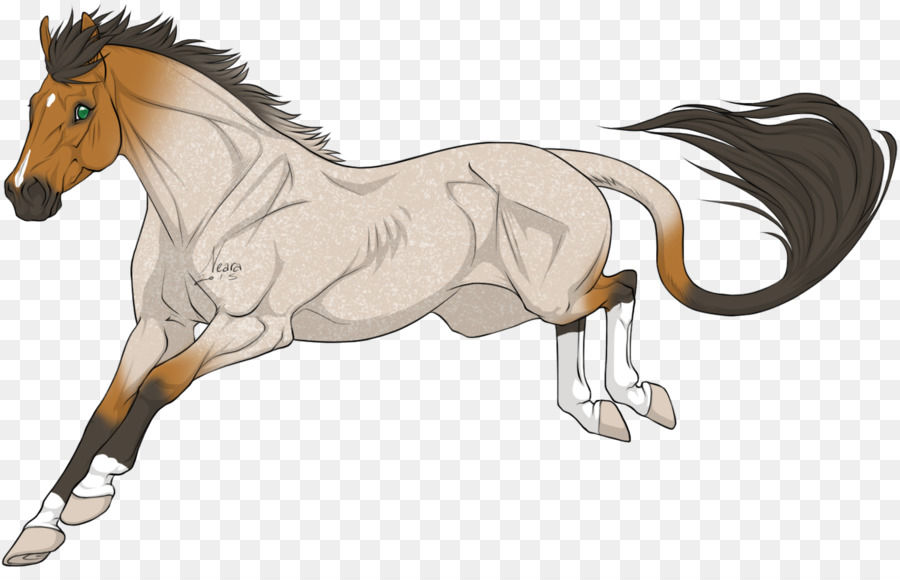 Foal，ม้า PNG