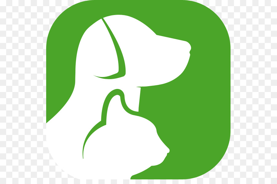 Paraveterinary งาน，สัตวแพทย์ PNG