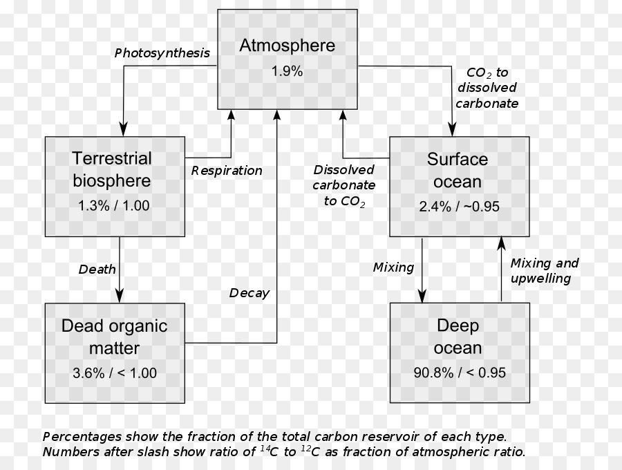 Carbon14，Radiocarbon เดทกัน PNG