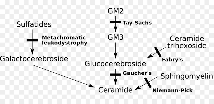 Sphingolipidoses，Gaucher เป็นเชื้อโรค PNG
